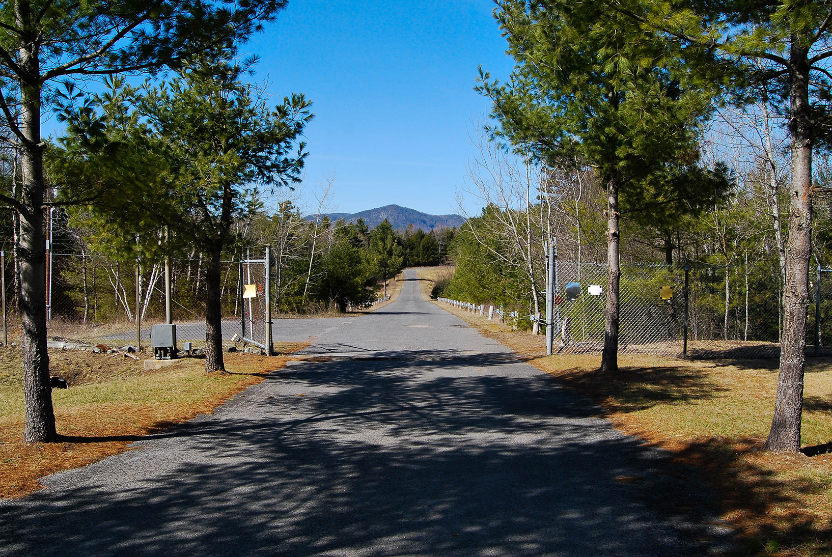 (Courtesy Brian Dominic)