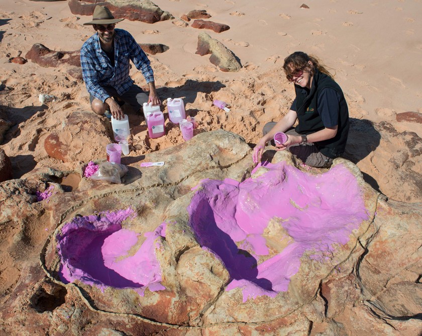 The World's Largest Dinosaur Footprints Discovered in Australia