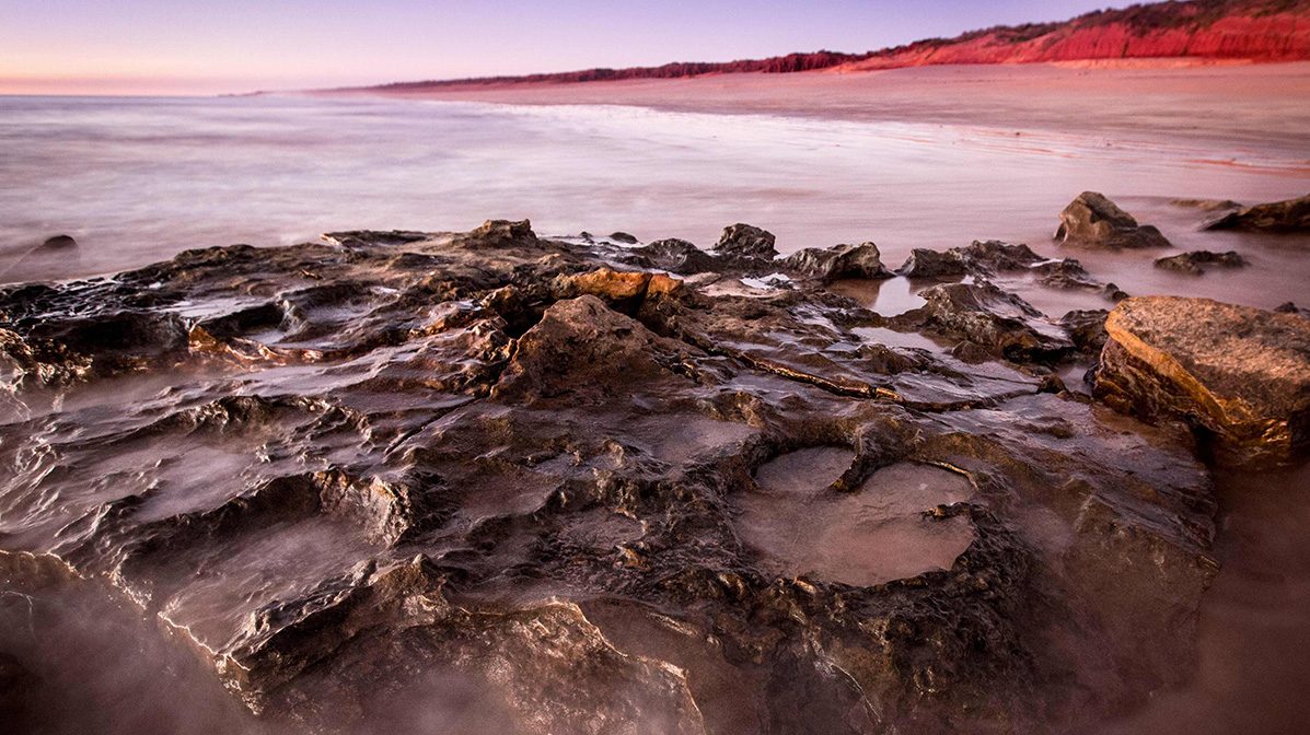 World's Largest Dinosaur Footprints Discovered in Australia
