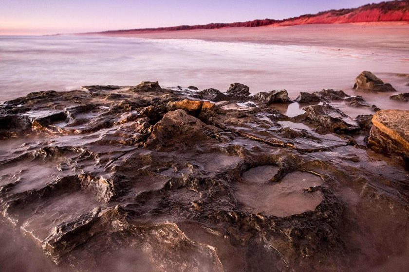 World's Largest Dinosaur Footprints Discovered in Australia