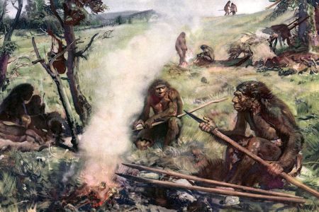 Partial Skull Discovered in Portugal Could Be Link to Earliest Human Ancestor