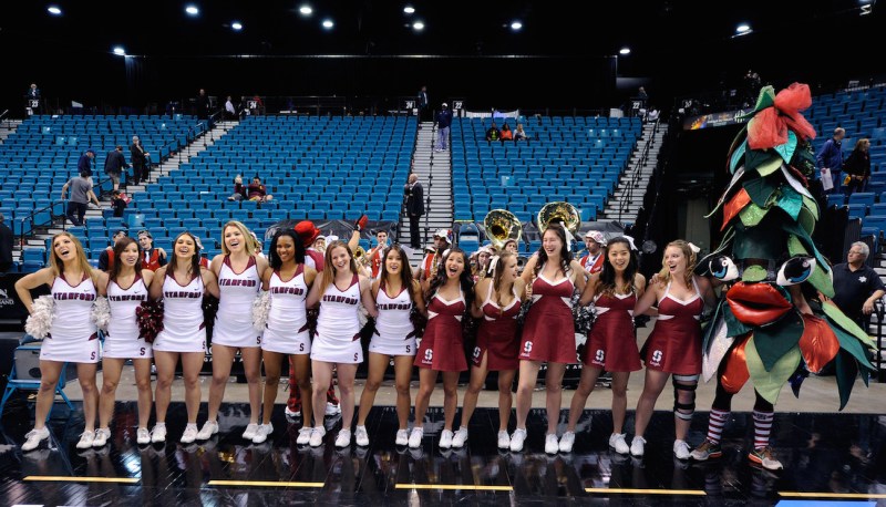 LAS VEGAS, NV - MARCH 12: Stanford Cardinal cheerleaders and the team's unofficial tree mascot perform after a first-round game of the Pac-12 Basketball Tournament at the MGM Grand Garden Arena on March 12, 2014 in Las Vegas, Nevada. Stanford won 74-63. (Photo by Ethan Miller/Getty Images)