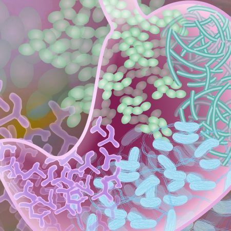 Scientists Discover Stomach Health Is Connected to Parkinson’s Disease