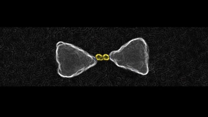 Gold nanoparticles chemically guided inside the hot-spot of a larger gold bow-tie nanoantenna. (Imperial College London)