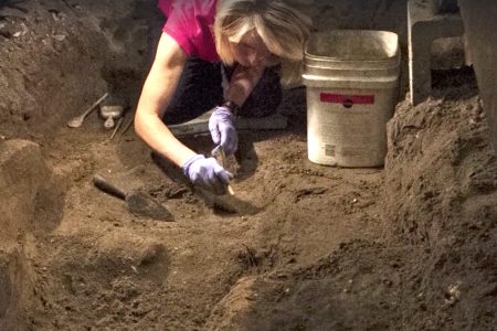 Human remains found at Fiesta Mall in St. Augustine