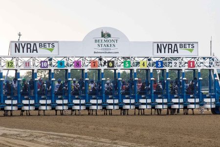 Billionaire's Guide to Horse Racing