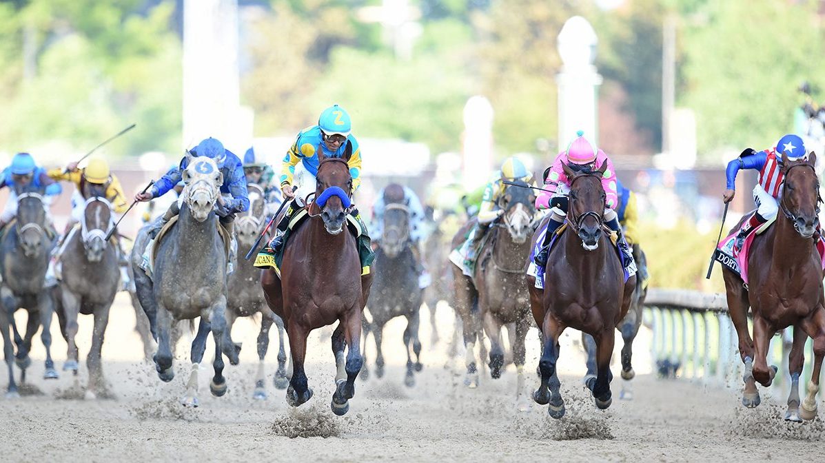 The Billionaire's Guide to Horse Racing