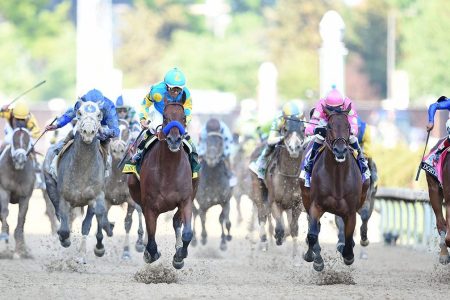 The Billionaire's Guide to Horse Racing