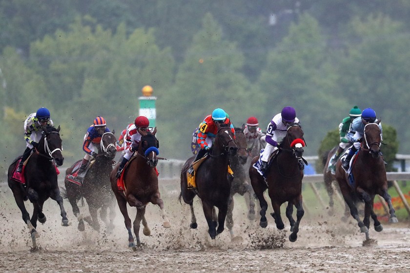 Billionaire's Guide to Horse Racing