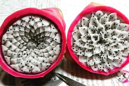 (@gakugakugakugakugaku1 via Instagram)