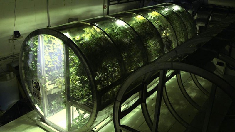At the University of Arizona's Controlled Environment Agriculture Center, an 18 foot long, 7 foot, 3 inch diameter lunar greenhouse chamber is equipped as a prototype bioregenerative life support system. (University of Arizona)