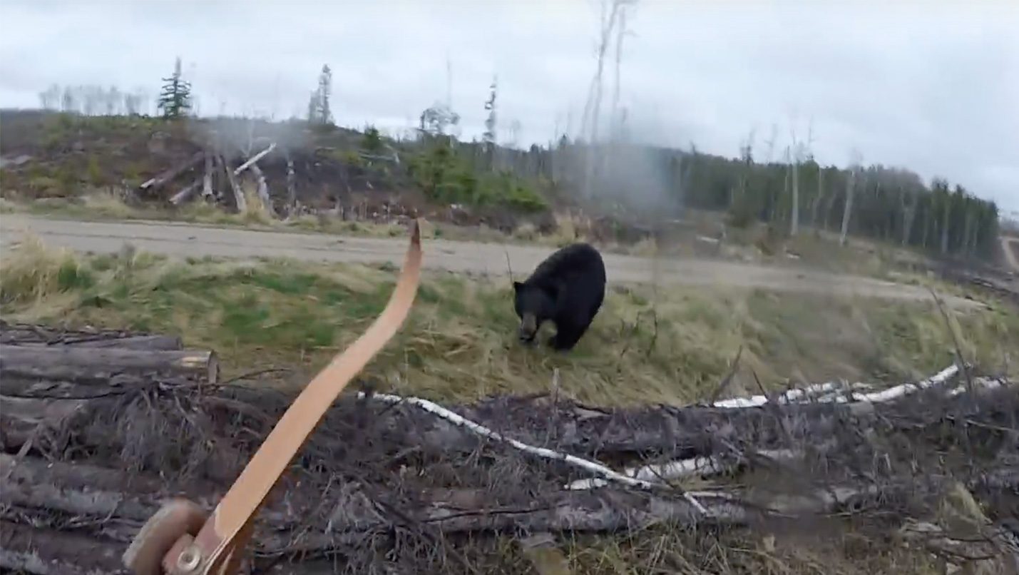 Canadian Hunter Fights Off Black Bear Attack Caught on Video InsideHook
