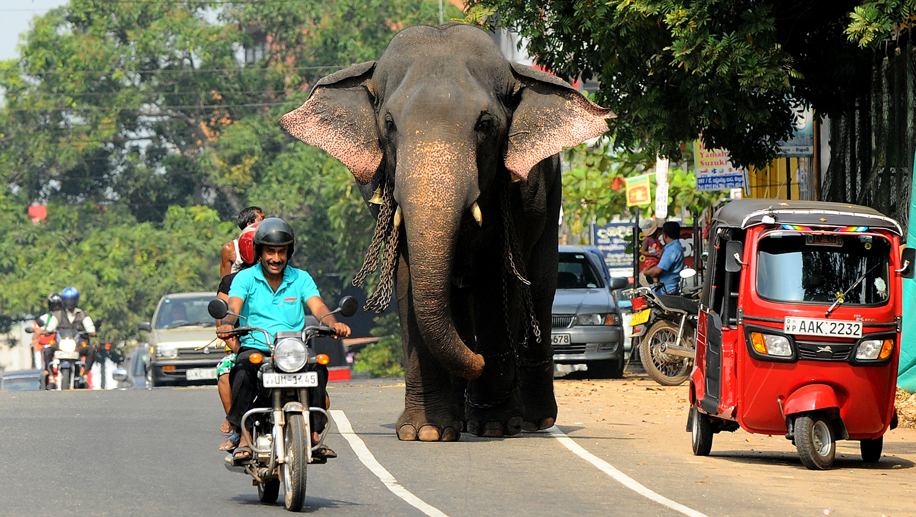 Tour Sri Lanka by Bicycle