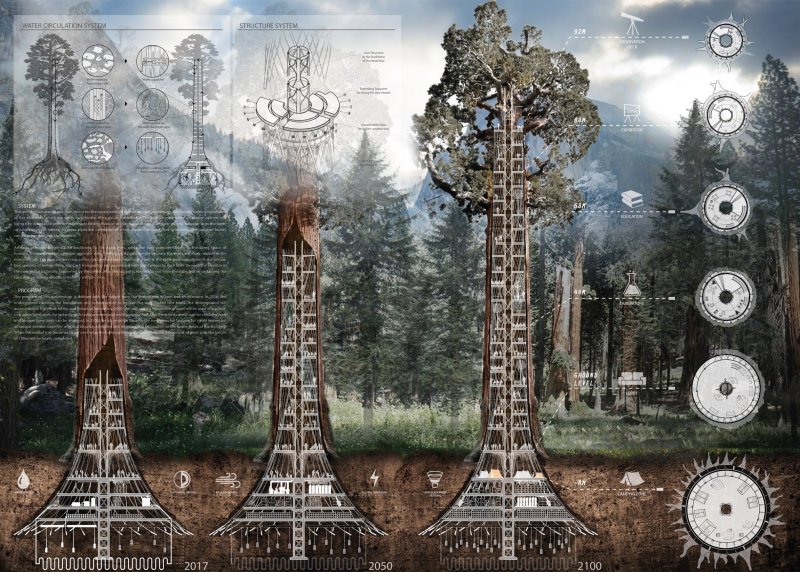 Architects designed a building concept inside a hollowed out Giant Sequois tree. Taller than 250 feet tall with a 100-foot width, the redwood is a perfect home for a skyscraper. The concept would prevent the tree from falling over while providing space for research and education. (Ko Jinhyeuk, Cheong Changwon, Cho Kyuhyung, Choi Sunwoong)