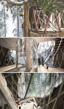 Architects designed a building concept inside a hollowed out Giant Sequois tree. Taller than 250 feet tall with a 100-foot width, the redwood is a perfect home for a skyscraper. The concept would prevent the tree from falling over while providing space for research and education. (Ko Jinhyeuk, Cheong Changwon, Cho Kyuhyung, Choi Sunwoong)