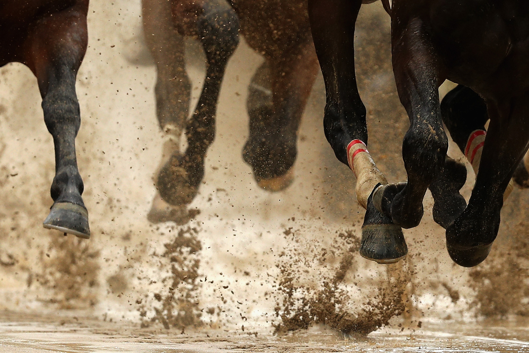 What You Need to Know to Win on Kentucky Derby Day