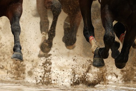 What You Need to Know to Win on Kentucky Derby Day