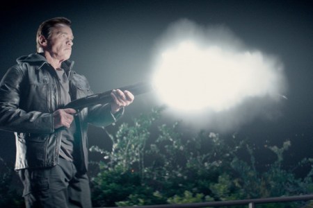 Arnold Schwarzenegger as Termintor
