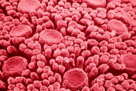 New research suggests tongues may have sixth taste bud