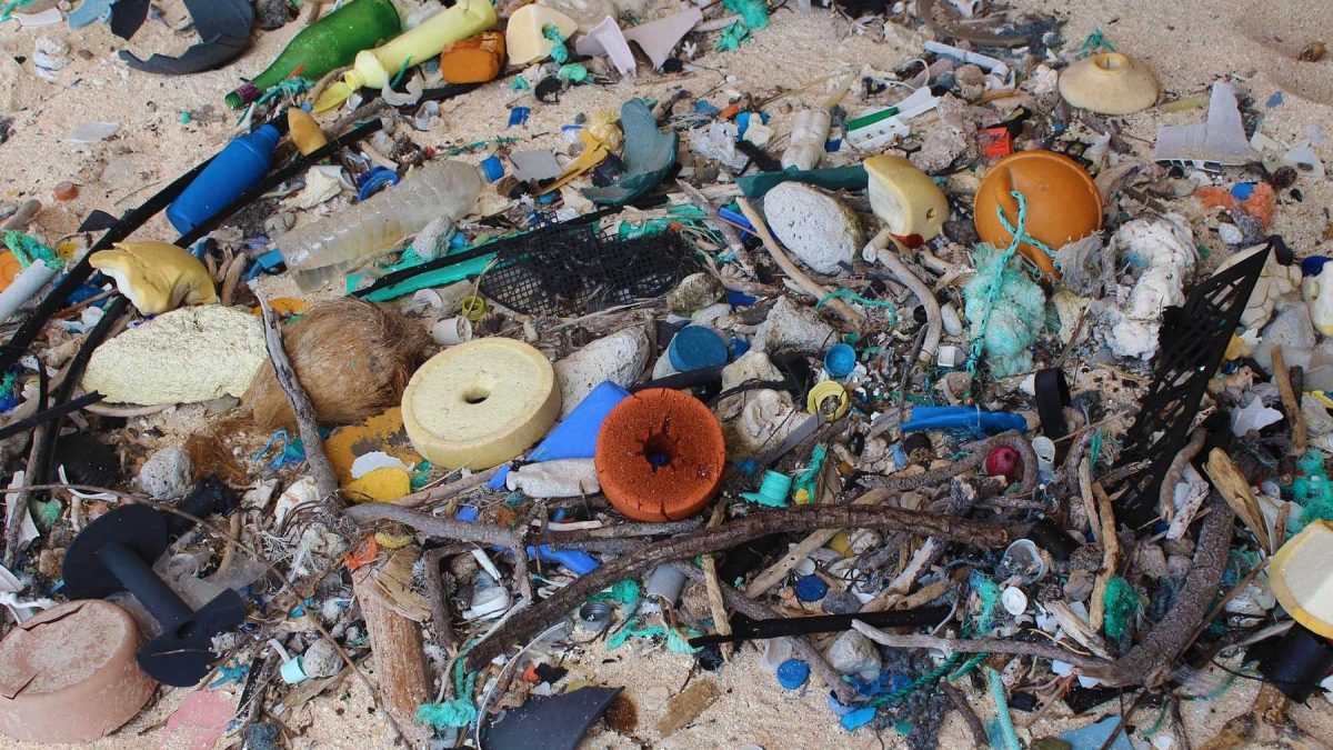 Beaches of Henderson Island are littered with tons of trash from thousands of miles away. (Jennifer Lavers/University of Tasmania)