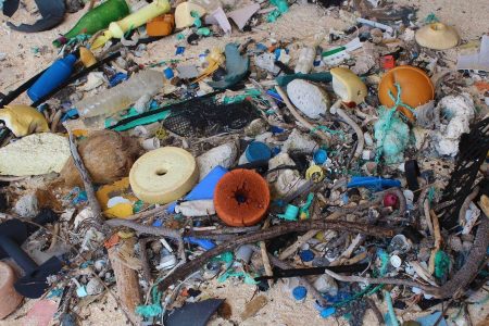 Beaches of Henderson Island are littered with tons of trash from thousands of miles away. (Jennifer Lavers/University of Tasmania)