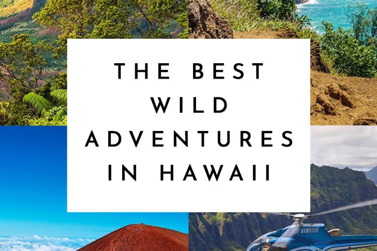 Best Wild Adventures Hawaii
