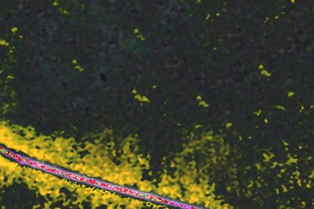 Working a Graveyard Shift Could Lower Your Sperm Count