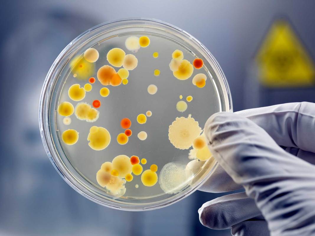 Crowdsourcing the fight against superbugs