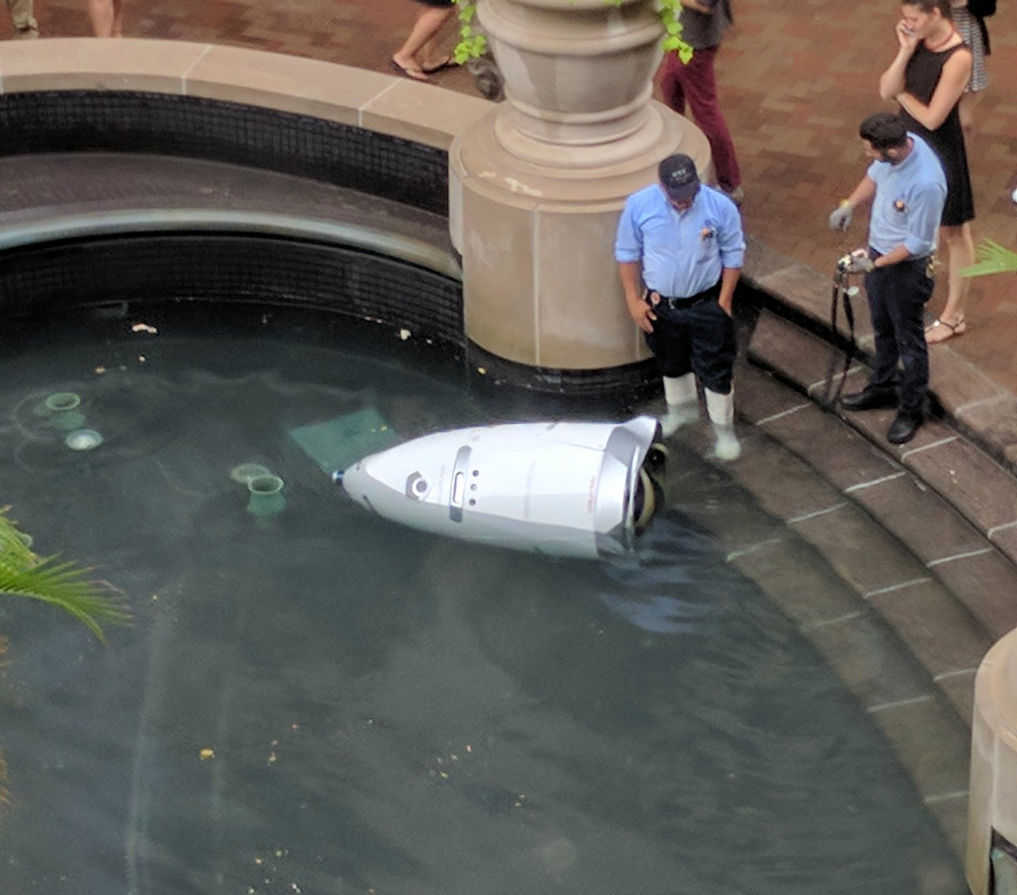 The K5 security guard robot "drowned" in a DC fountain. (Bilal Farooqui/ Twitter)