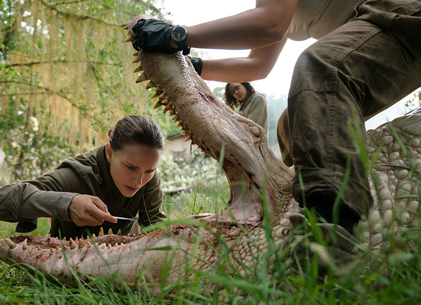 Natalie Portman in 'Annihilation.'