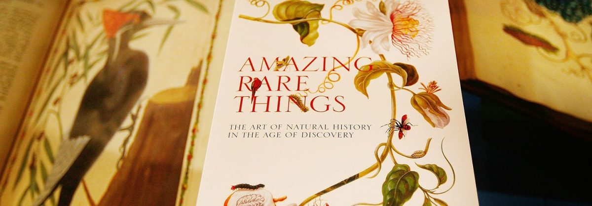 A catalogue for the Amazing Rare Things exhibition rests on a display case at The Queen's Gallery, Buckingham Palace on March 13, 2008 in London. The exhibition has been selected from the Royal Library by Royal Collection Curators in collaboration with naturalist and broadcaster Sir David Attenborough and displays the works of Leonardo da Vinci, Cassiano dal Pozzo, Alexander Marshal, Maria Sibylla Merian and Mark Catesby, four artists and a collector who have shaped our knowledge of the natural world. (Photo by Peter Macdiarmid/Getty Images)