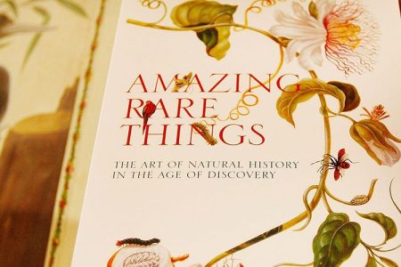 A catalogue for the Amazing Rare Things exhibition rests on a display case at The Queen's Gallery, Buckingham Palace on March 13, 2008 in London. The exhibition has been selected from the Royal Library by Royal Collection Curators in collaboration with naturalist and broadcaster Sir David Attenborough and displays the works of Leonardo da Vinci, Cassiano dal Pozzo, Alexander Marshal, Maria Sibylla Merian and Mark Catesby, four artists and a collector who have shaped our knowledge of the natural world. (Photo by Peter Macdiarmid/Getty Images)