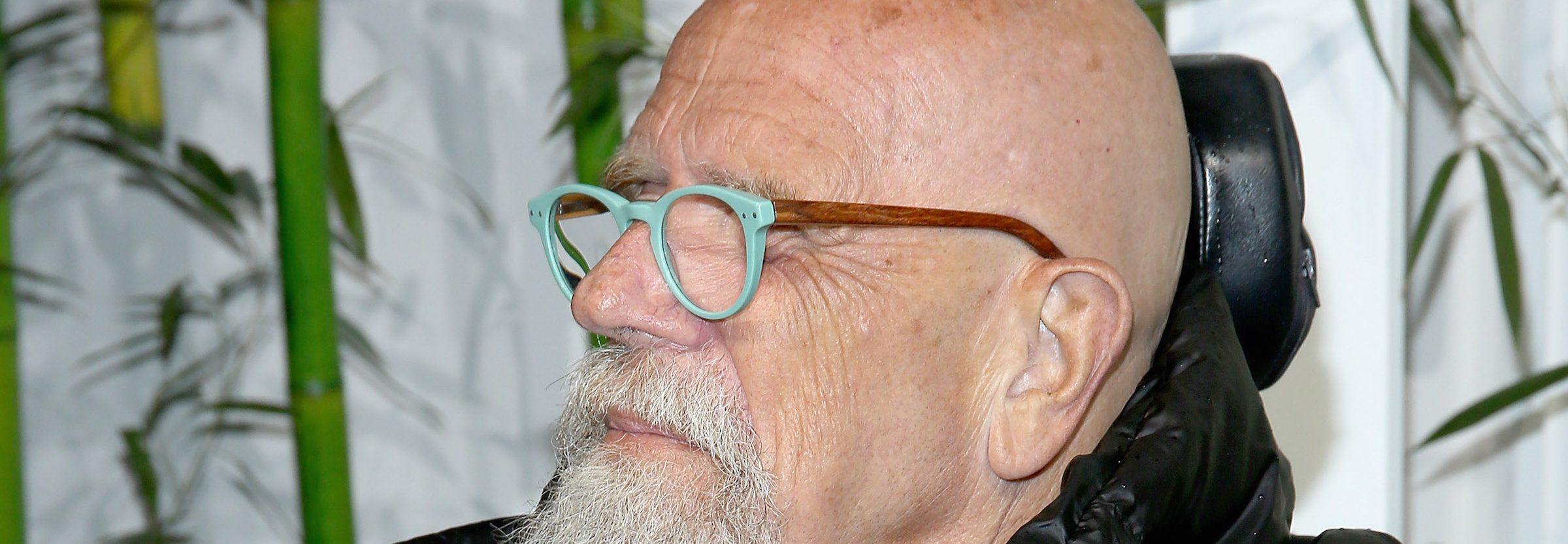 Chuck Close attends the 2015 Museum of Modern Art Party In The Garden and special salute to David Rockefeller on his 100th Birthday at Museum of Modern Art on June 2, 2015 in New York City.  (Photo by Paul Zimmerman/WireImage)