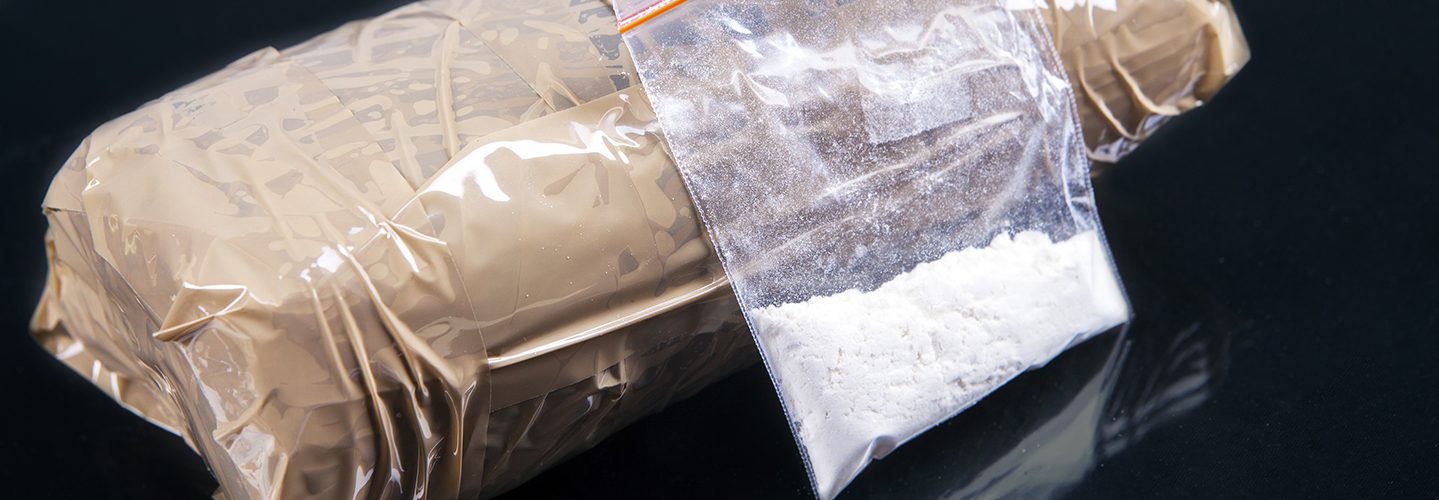 Who Killed the Nazi Botanist That Was Working On Wiping Out Cocaine?