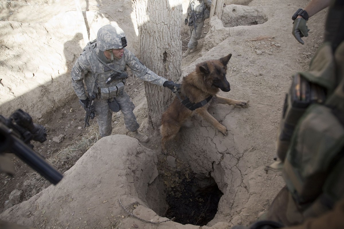 Basco from Patrol Explosive Detector Dog (PEDD) of US Airforce refuses to go inside a tunnel as US sergeant Matthew Templet from 627 Security Forces Squadran, Joint Base Lewis McChord coax him to seek for possible explosives in an abandoned house in Loya Derah village during a clearance patrol in Zari district of Kandahar province on December 28, 2010. (BEHROUZ MEHRI/AFP/Getty Images)