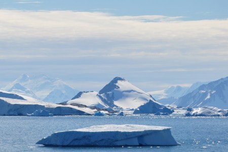 antartica