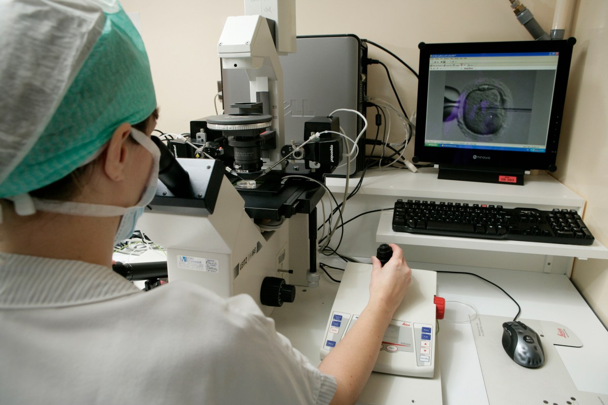 In vitro fertilization, Reproductive biology laboratory University hospital of Rouen, France. (Photo by: Media for Medical/UIG via Getty Images)