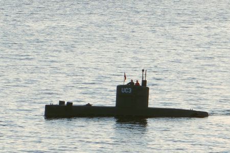 kim wall
