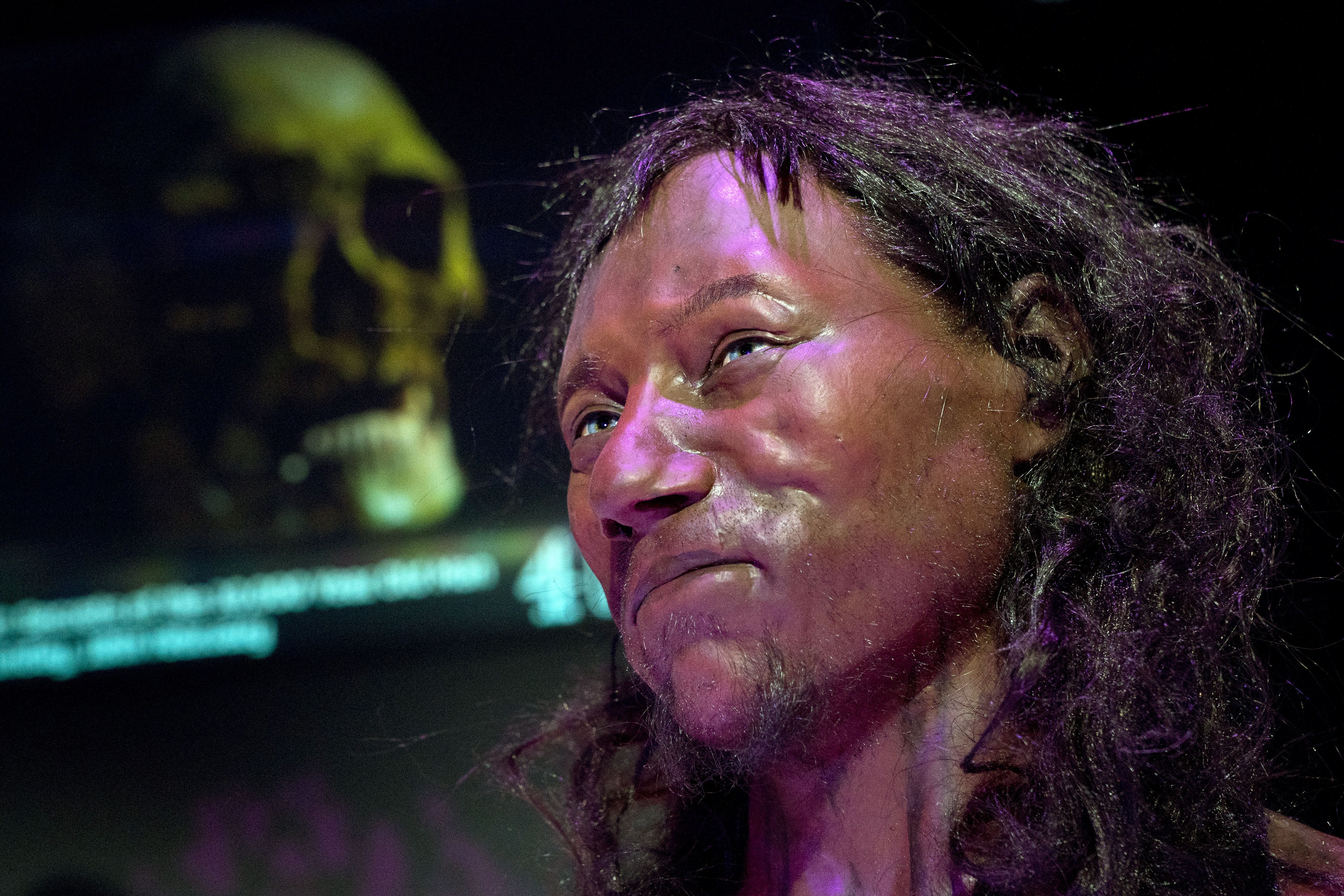 cheddar man