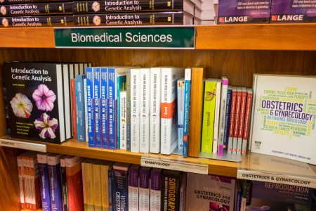 (Photo by: Jeff Greenberg/UIG via Getty Images)