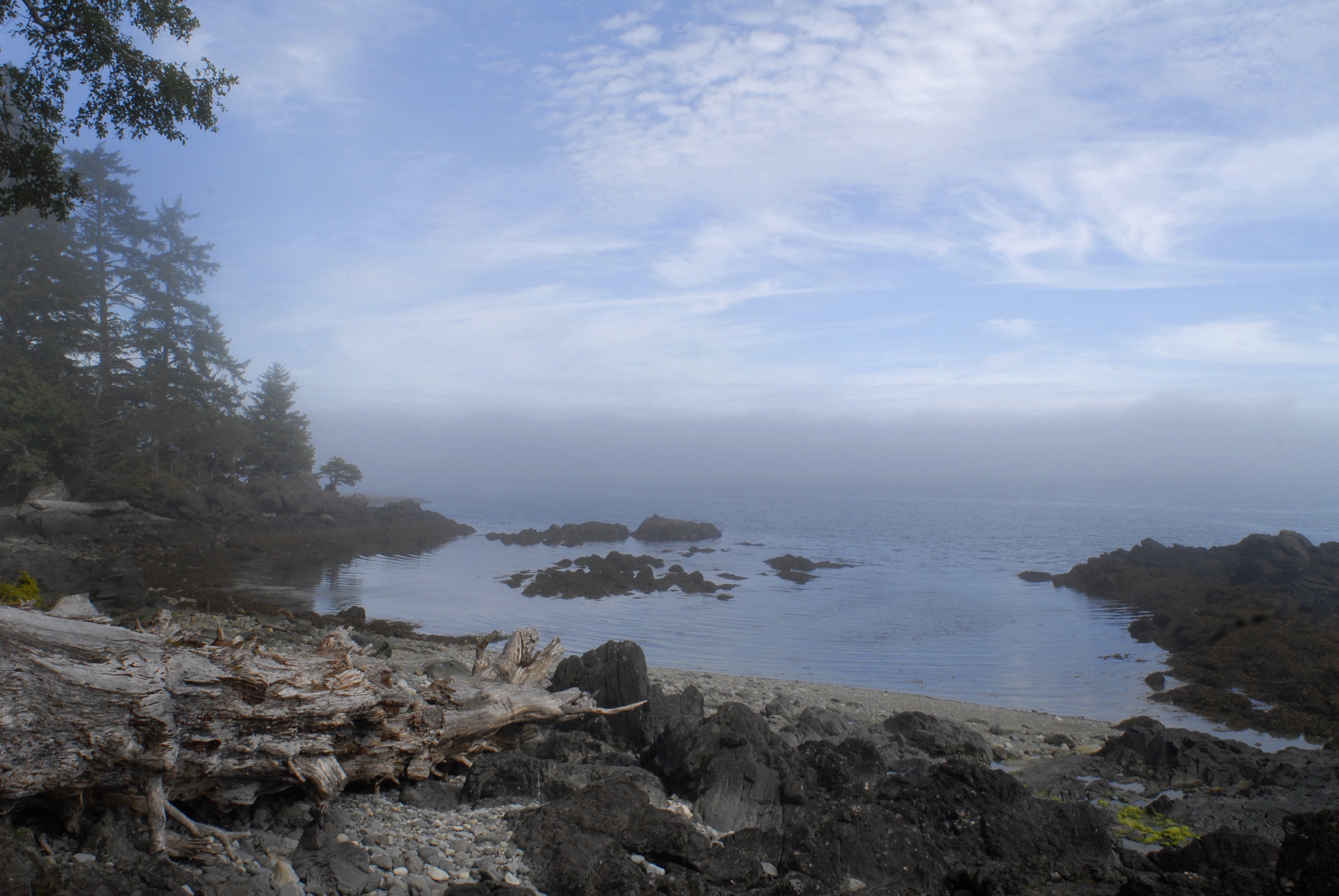 The fog rolls into the ancient Haida village site of T'aanuu Llnagaay, August 17, 2008. Within the boundaries of Gwaii Haanas National Park Reserve, T'aanuu is a Haida Heritage Site on the east side of Tanu Island. The name refers to a type of sea grass found nearby. At one time, there were between 25 to 40 longhouses in the village.  (Photo by Farah Nosh/Getty Images)