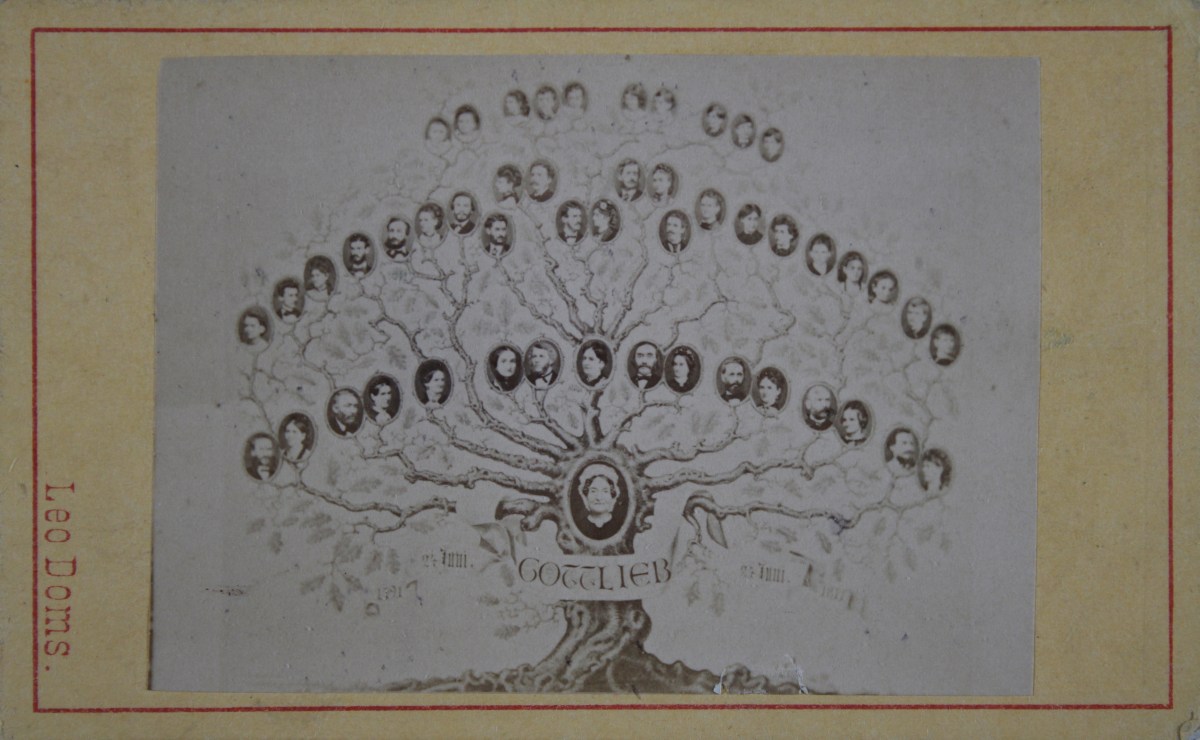 When Did People Stop Marrying Their Cousins