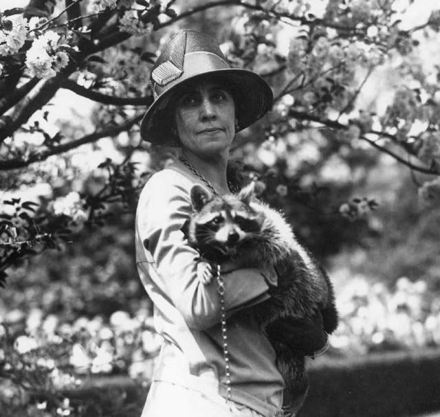 Calvin Coolidge's wife, Grace Anna Goodhue Coolidge, with her pet raccoon, Rebecca. (Wikipedia)