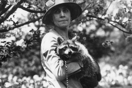 Calvin Coolidge's wife, Grace Anna Goodhue Coolidge, with her pet raccoon, Rebecca. (Wikipedia)