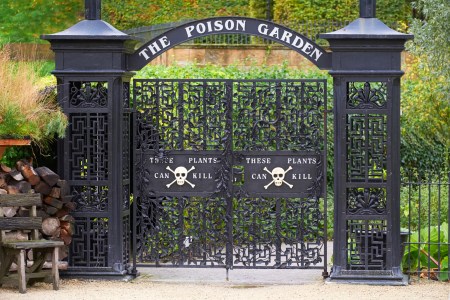 The Poison Garden at Alnwick Garden, Northumberland, England, UK.