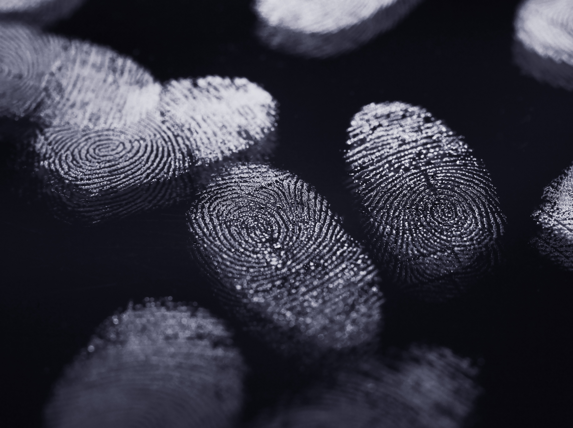 fingerprints