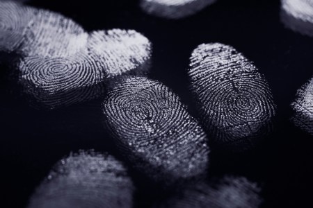 fingerprints