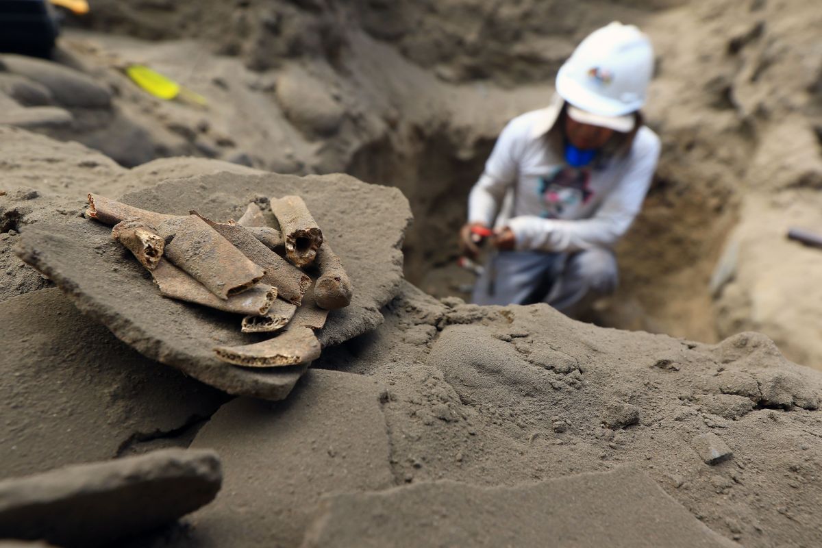 An archaeologist works on a excavation site where human remains dating more than 1,500 years were found, in the northern coastal town of Huanchaco, near the mass child sacrafice.
(CELSO ROLDAN/AFP/Getty Images)