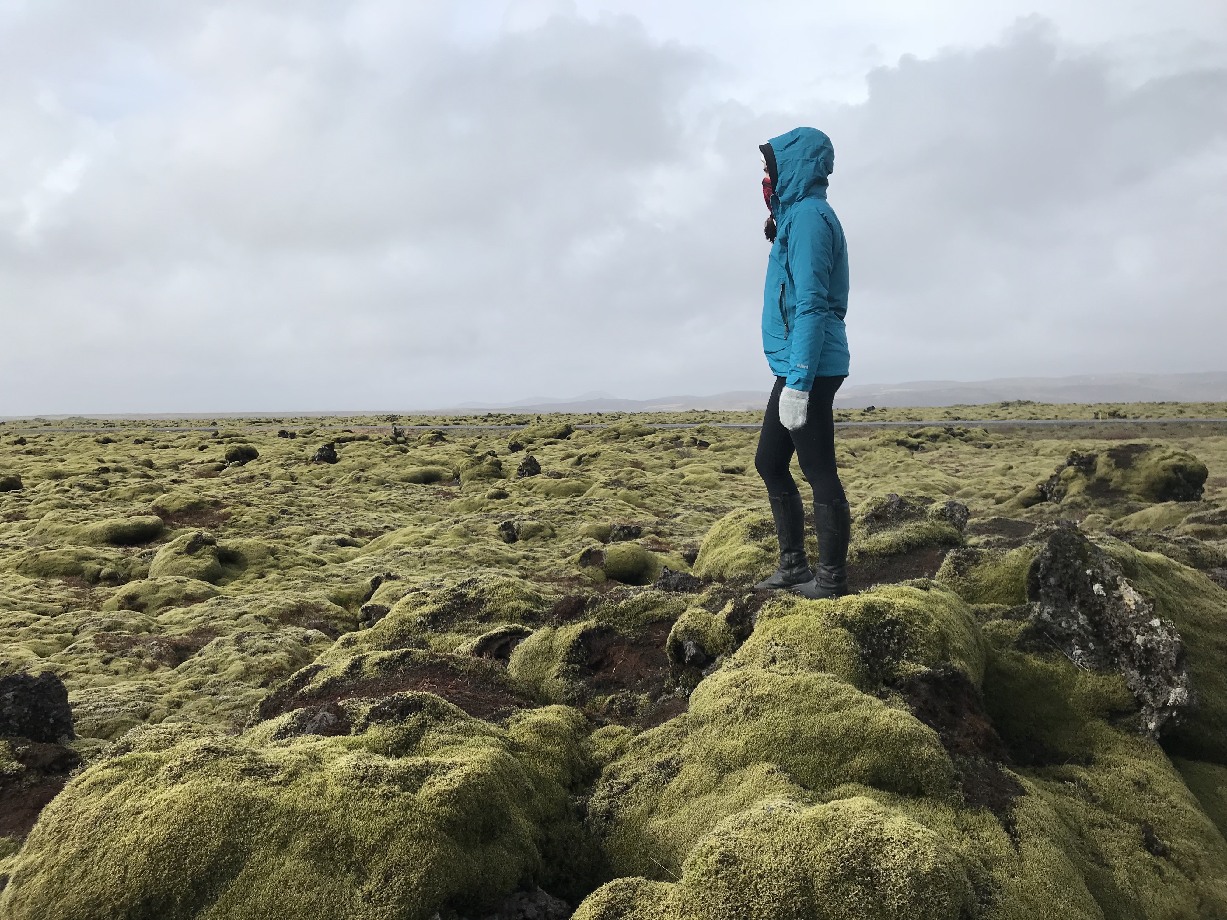 Mossy landscape of Iceland (Kinga Philipps)