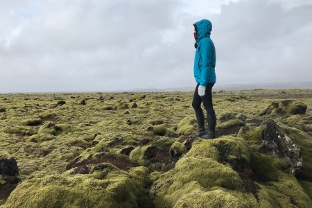 Mossy landscape of Iceland (Kinga Philipps)